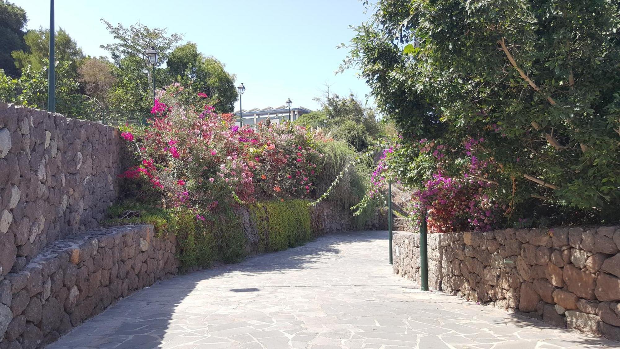 Paraiso Del Sur Playa Paraíso Eksteriør billede